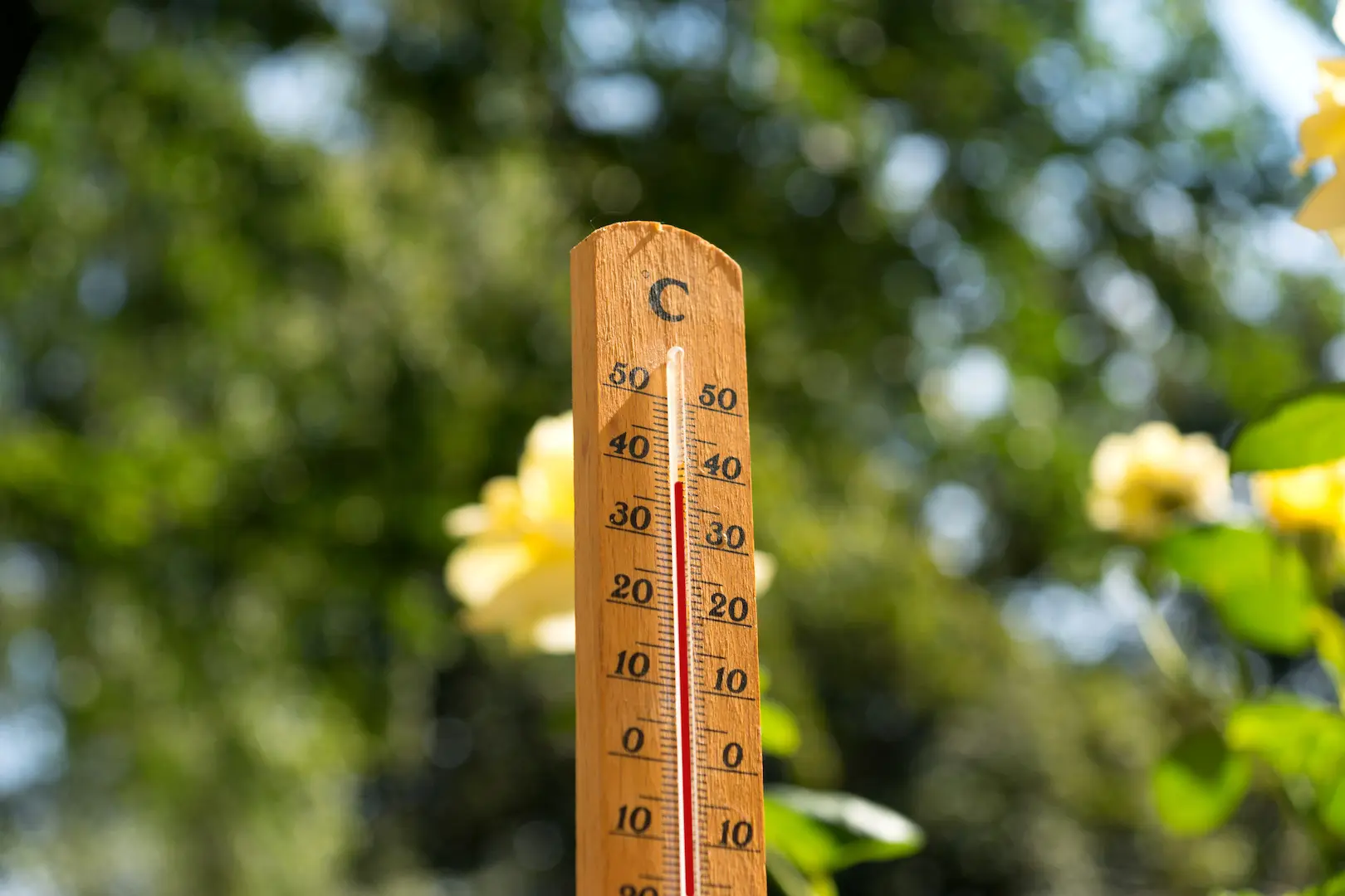 年々暑くなる…。灼熱の夏を快適に過ごすには？